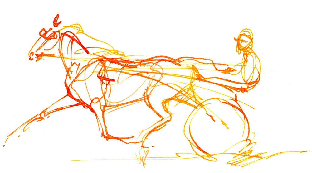illustration marie laure manceaux cheval 4.jpg - Marie-Laure MANCEAUX | Virginie